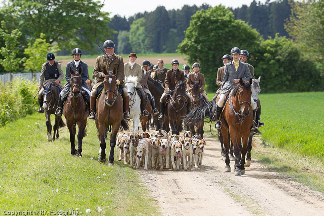Schleppjagdverein von Bayern e.V.